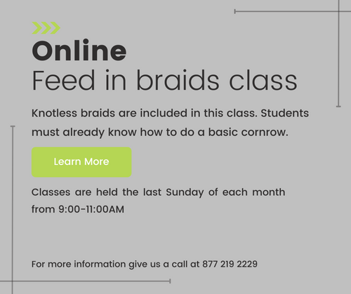 Feed-In Cornrows & Knotless Braids Online Class