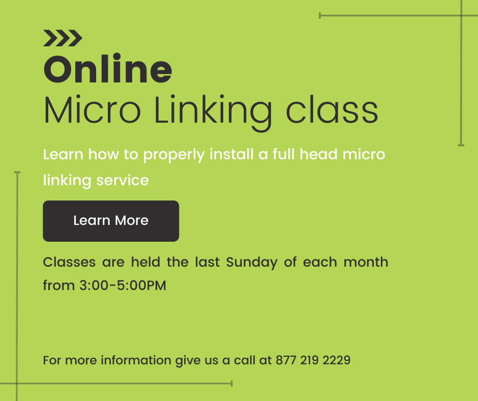 Micro Linking Online Class
